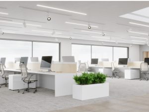 Pauzinhos de Bambu Certificados Oferecem Sustentabilidade e Resistência Térmica para o Setor de Restauração